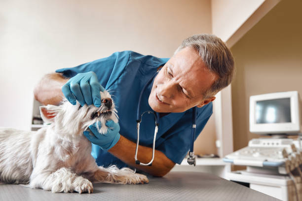 Best Emergency Dental Surgery in Lawrenceville, NJ